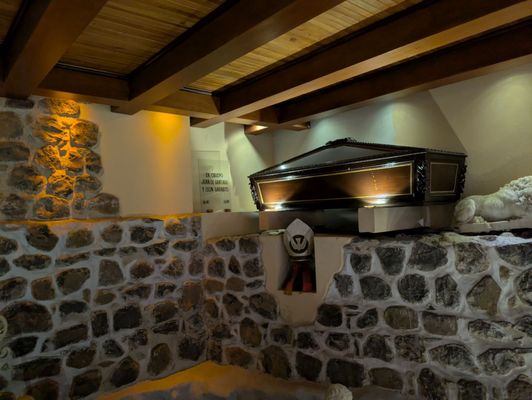 Catedral Basílica de la Asunción de María Santísima by null