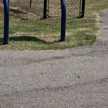 David Carnes Park - Park sign - Parks Near Me - Memphis, Tennessee David Carnes Park - Park sign - Parks Near Me - Memphis, Tennessee