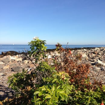 Odiorne Point State Park - Parks Near Me