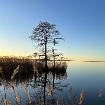 Mattamuskeet Refuge - Parks Near Me - Swanquarter, North Carolina Mattamuskeet Refuge - Parks Near Me - Swanquarter, North Carolina