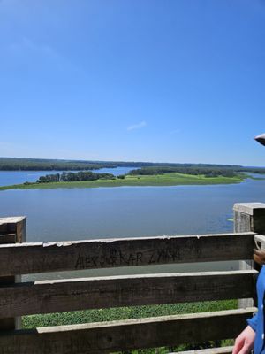 Mississippi Palisades State Park by null