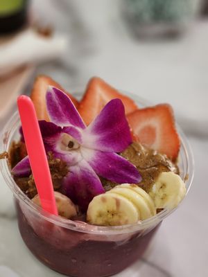 Matcha Mia by null