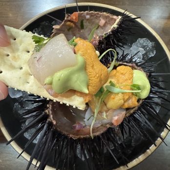 Holbox - The perfect bite of scallop and uni - Latin American Near Me - Los Angeles, California Holbox - The perfect bite of scallop and uni - Latin American Near Me - Los Angeles, California