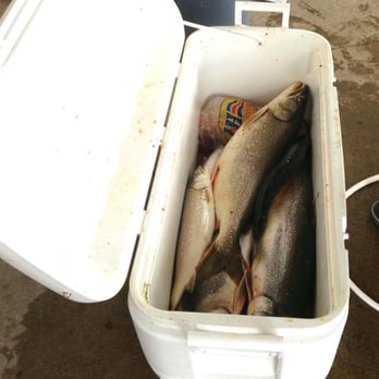 SuFISHient Charters - Our haul! - Boat Charters Near Me - Holland, Michigan