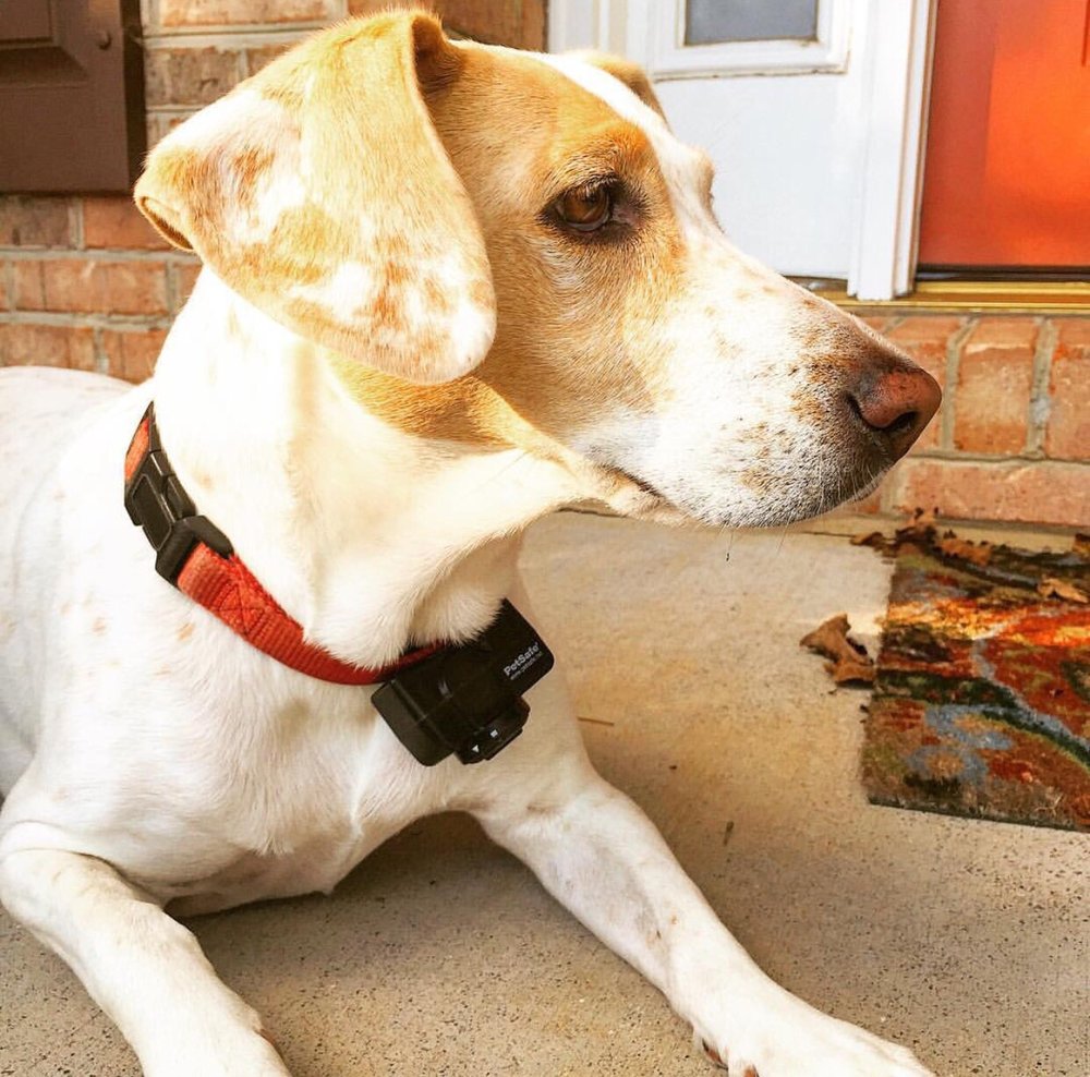 DREAM KATCHER LODGE 58 Photos & 10 Reviews 11253 Kingston Pike