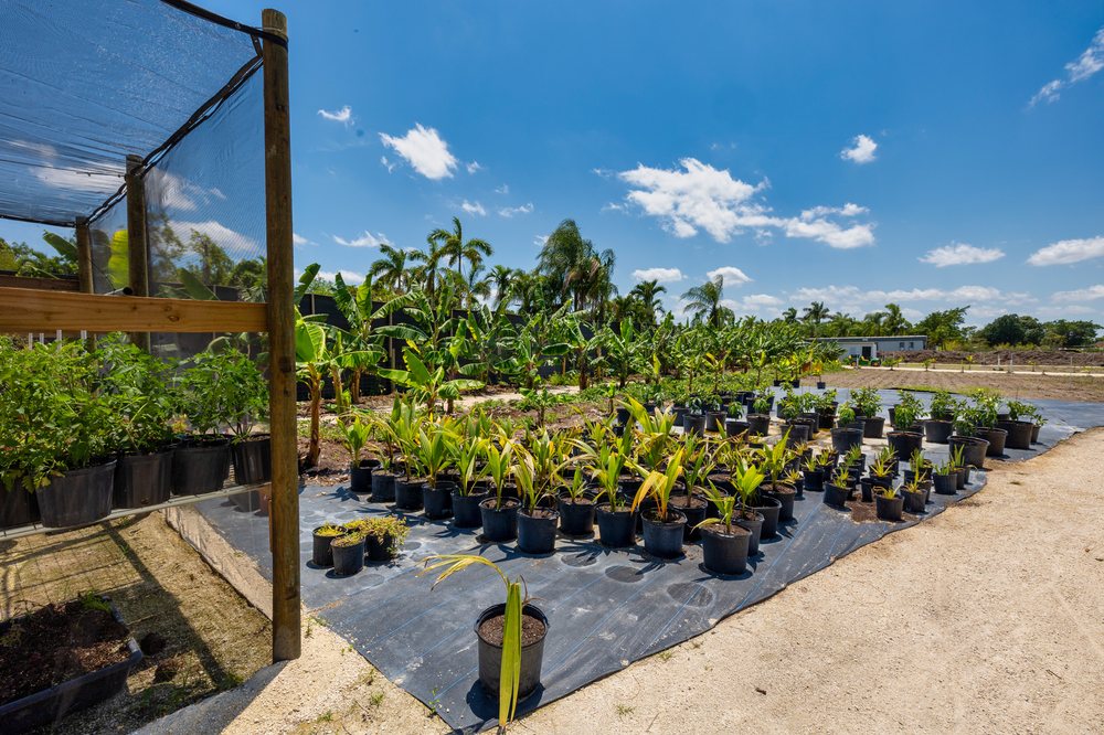 TINEZ FARMS 304 Photos & 49 Reviews 16405 SW 177th Ave, Miami, Florida Attraction Farms