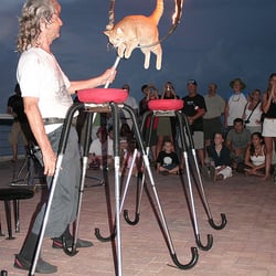 Cat Man