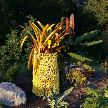 Green Spring Gardens - Fruit garden! - Botanical Gardens Near Me - Alexandria, Virginia