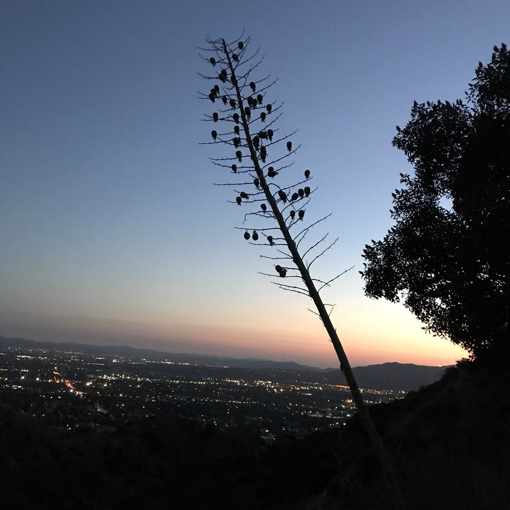 Veterans Memorial Park - The view of the Valley is beautiful. - Parks Near Me - Sylmar, California Veterans Memorial Park - The view of the Valley is beautiful. - Parks Near Me - Sylmar, California
