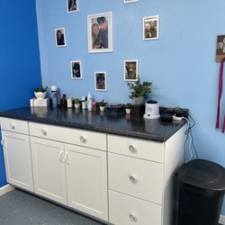 Madison's Shed and Tails Grooming - The Shop