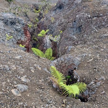 Chain Of Craters - 1969 Fissure - Landmarks & Historical Buildings Near Me - Pāhoa, Hawaii