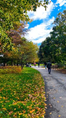 McCarren Park by null