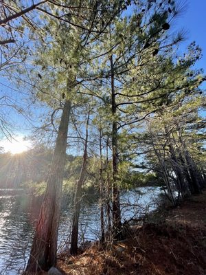 Lake Lanier by null