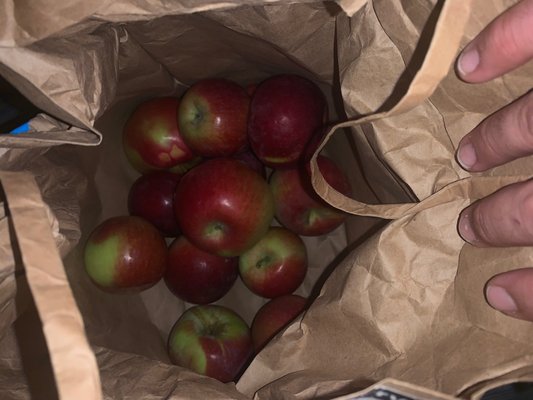 Stuarts Farm by null