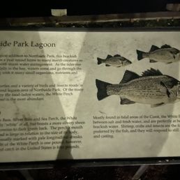 North side park lagoon life North side park lagoon life