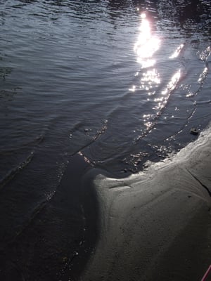 黑面琵鷺生態展示館 by null