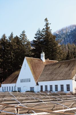 Bonneville Fish Hatchery by null