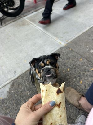 Los Burritos Juarez by null