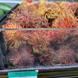 Rambutan