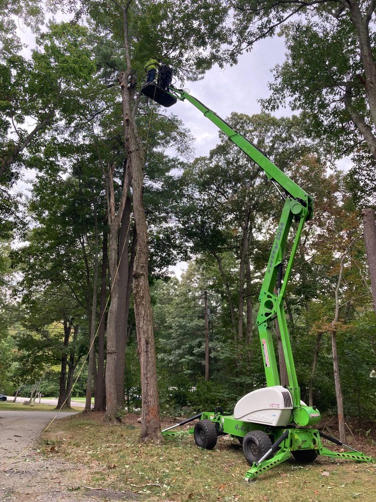 EASTPOINT EQUIPMENT RENTALS Updated August 2024 16 Photos 273