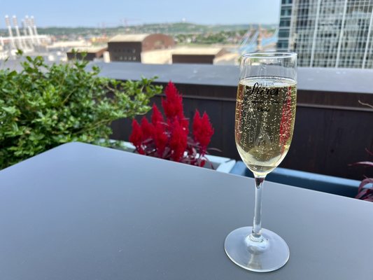 Shires' Rooftop by null