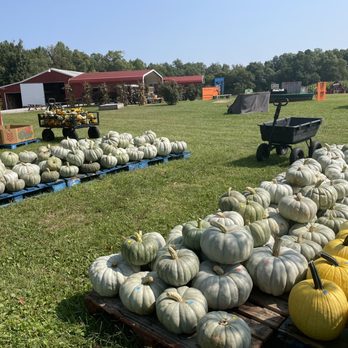 Mink and Walters Pumpkin Patch - Pumpkin Patches Near Me - Elizabethtown, Kentucky Mink and Walters Pumpkin Patch - Pumpkin Patches Near Me - Elizabethtown, Kentucky