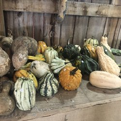 Granddaddy's Farm - Mixed goard