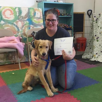 Blue Creek Canine - Pet Training Near Me - Billings, Montana Blue Creek Canine - Pet Training Near Me - Billings, Montana