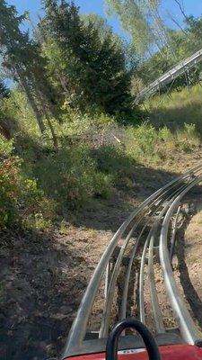 Park City Alpine Slide by null
