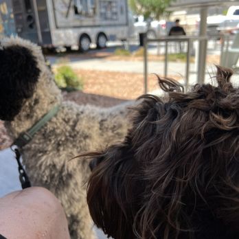 Alarado Biscuit Company - Chewie and Stella waiting for some more Chicken and Waffles - Breakfast & Brunch Near Me - Grand Junction, Colorado