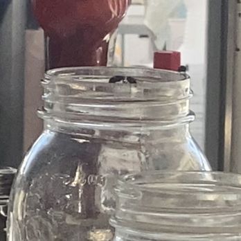 Toast on First - Coffee & Tea Near Me - Whittier, California Toast on First - Coffee & Tea Near Me - Whittier, California