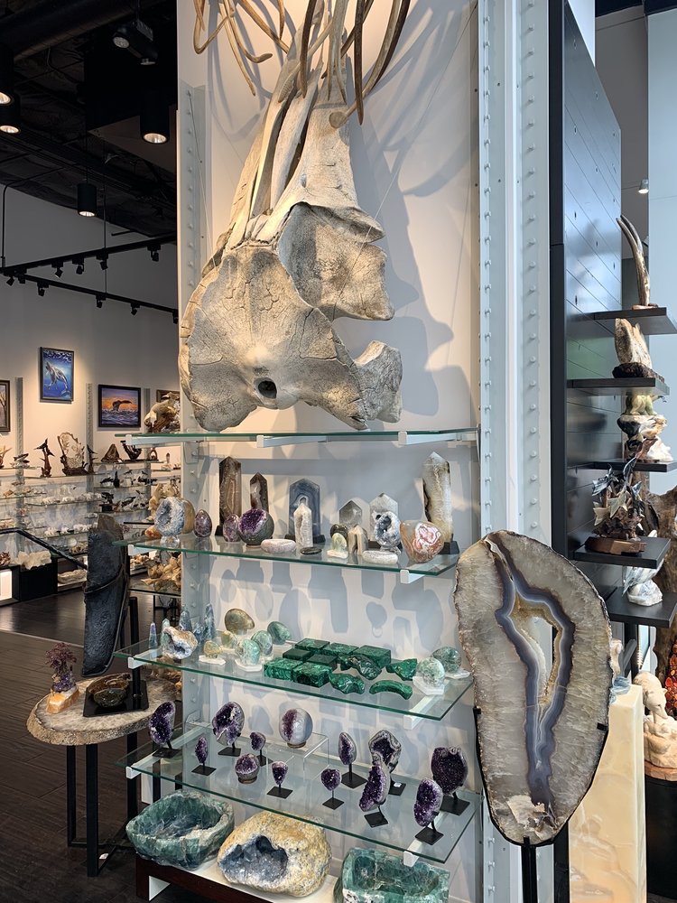 FOSSIL & STONE Updated October 2024 27 Photos 204 Pine St