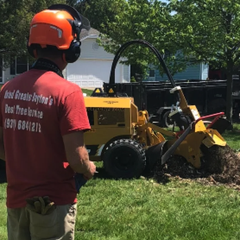 AAA Tree & Landscaping - Tree Services Near Me - Dayton, Ohio