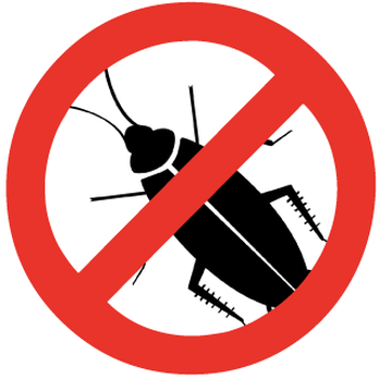 AM Effective - Reliable and Effective Pest Control service - Pest Control Near Me AM Effective - Reliable and Effective Pest Control service - Pest Control Near Me