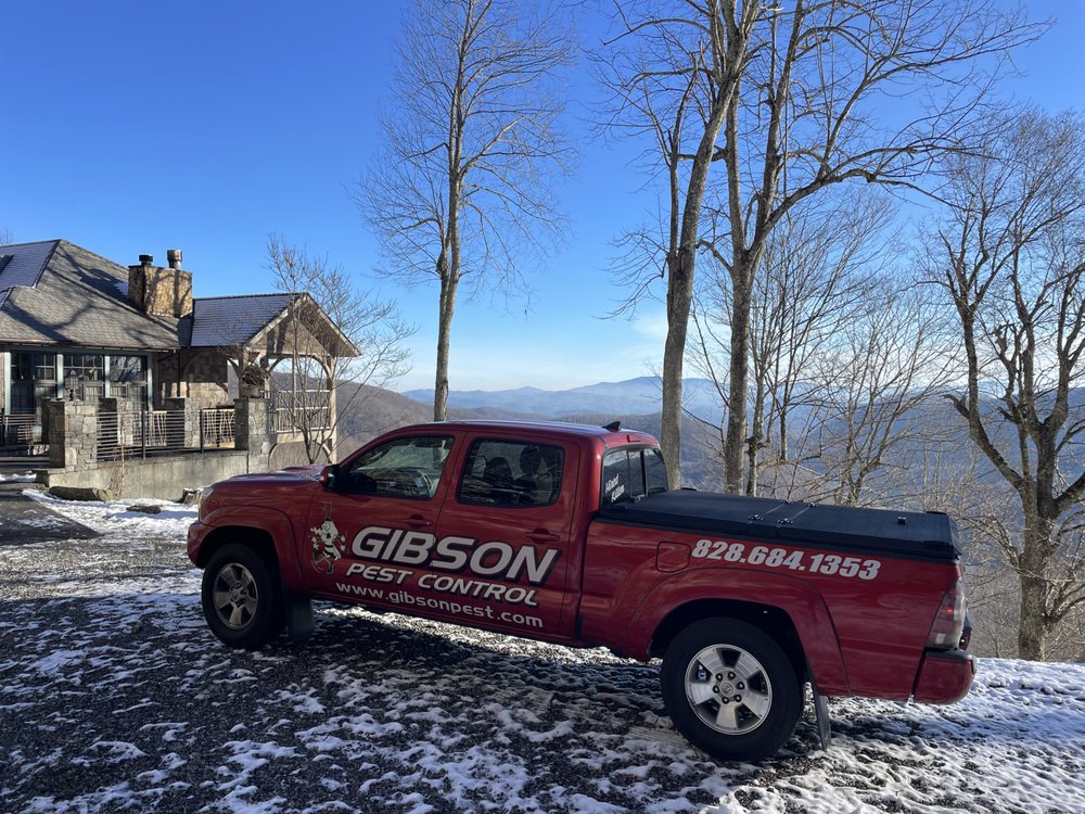 GIBSON PEST CONTROL Updated August 2024 10 Reviews 20 Rosscraggon Rd, Asheville, North