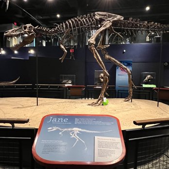 BURPEE MUSEUM OF NATURAL HISTORY - 47 Photos & 22 Reviews ...