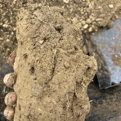 125 Sand Stone & More - More hard clay clumps from top soil (just so you know what you're getting Incase you are wanting it for a garden like myself)