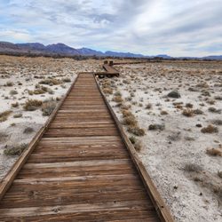 Ash Meadows National Wildlife Refuge