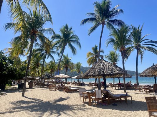 Thompson Zihuatanejo, by Hyatt by null Thompson Zihuatanejo, by Hyatt by null
