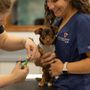 Photo of Rockdale Animal Hospital