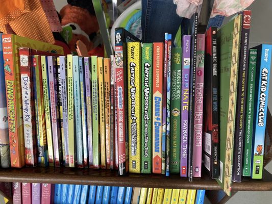 Books and more! - We LOVE books! Our selection ranges from board books to junior novels and classics. Graphic novels and comics, too!
