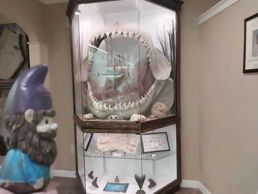 Mississippi Petrified Forest by null