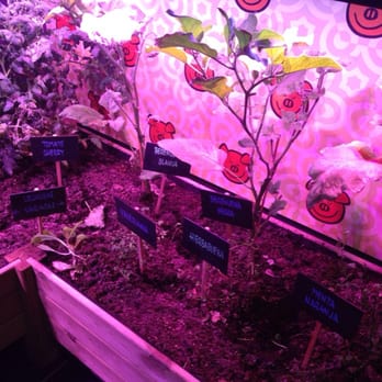 Mercado de San Antón - They grow their own herbs etc - Farmers Market Near Me - Madrid, M Mercado de San Antón - They grow their own herbs etc - Farmers Market Near Me - Madrid, M