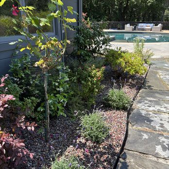 Af Gardening - Removed old mini bark for fire prevention and replaced it with 3/4 pammy pebble with a metal border installation - Landscaping Near Me - Vallejo, California Af Gardening - Removed old mini bark for fire prevention and replaced it with 3/4 pammy pebble with a metal border installation - Landscaping Near Me - Vallejo, California