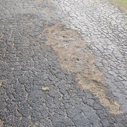 Pro paving and Sealcoating