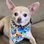 Photo of Head To Tail Dog Grooming