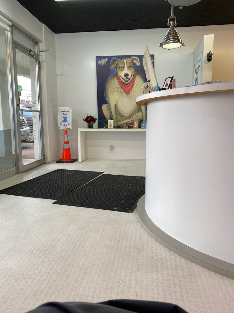 BARK AVENUE DOG GROOMING 26 Photos & 34 Reviews 7706 N May Ave