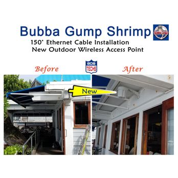 808 Tech Services - IT Services & Computer Repair Near Me - Kailua, Hawaii