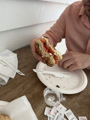 Tucker & Bevvy by null