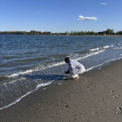 Carson Beach - So many shells